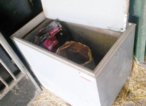 Ratten op stal voorkomen met voer in voerkist