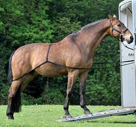 traileroplaadhulp om zelf je paard makkelijk te laden in de trailer